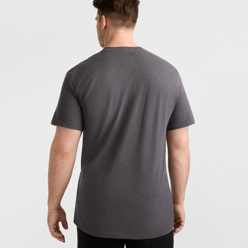 Classic Graphic T-Shirt, Script Logo - Big & Tall